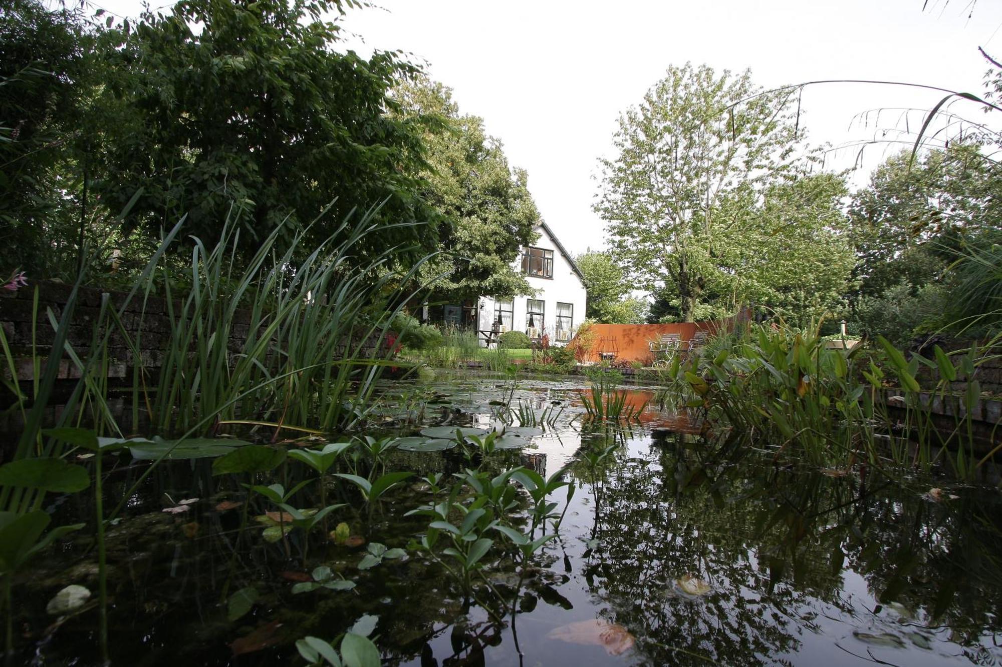 De Witte Wolk Bed and Breakfast Nieuw-Scheemda Εξωτερικό φωτογραφία