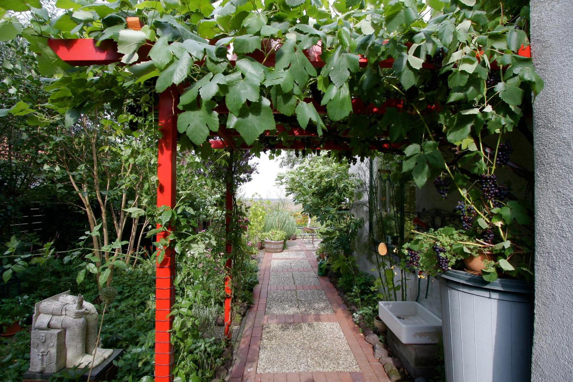 De Witte Wolk Bed and Breakfast Nieuw-Scheemda Εξωτερικό φωτογραφία