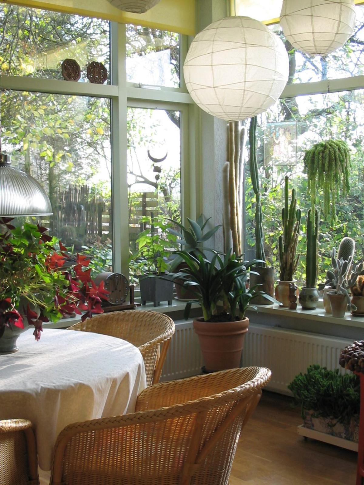De Witte Wolk Bed and Breakfast Nieuw-Scheemda Εξωτερικό φωτογραφία
