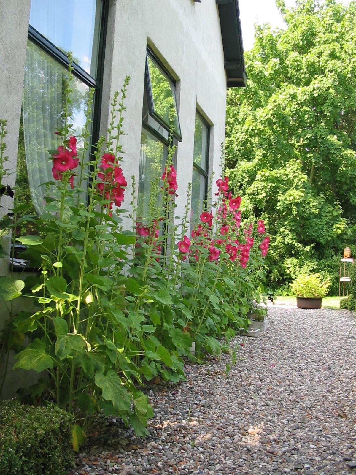 De Witte Wolk Bed and Breakfast Nieuw-Scheemda Εξωτερικό φωτογραφία